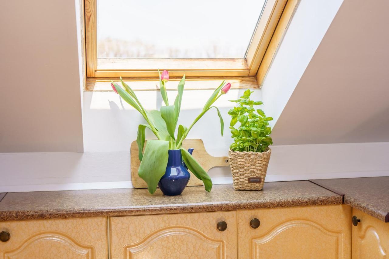 Klimatyczny Apartament Przy Bulwarze Optima Apartment Kolobrzeg Ngoại thất bức ảnh